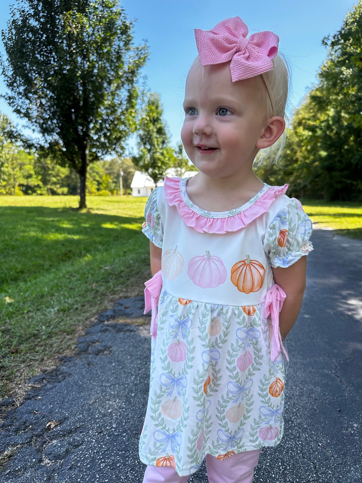 Pink Pumpkin Set